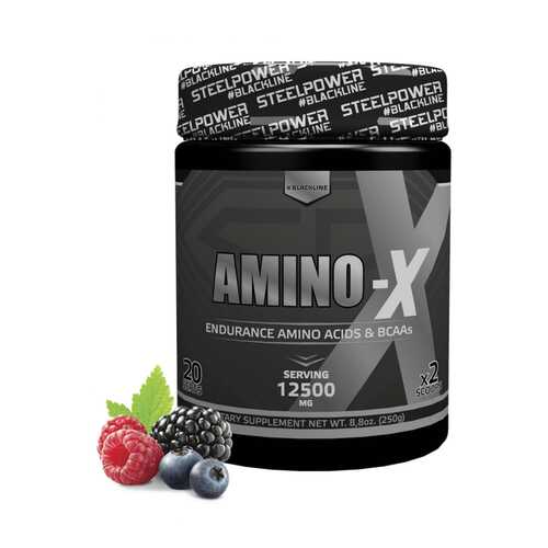 Аминокислотный комплекс AMINO-X, вкус «Лесные ягоды», 250 гр, STEELPOWER в Интерспорт