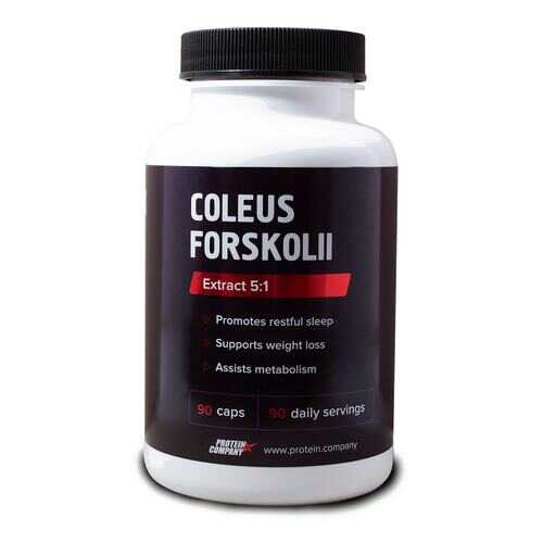 Экстракт Protein.Company Coleus Forskohlii 90 капсул в Интерспорт