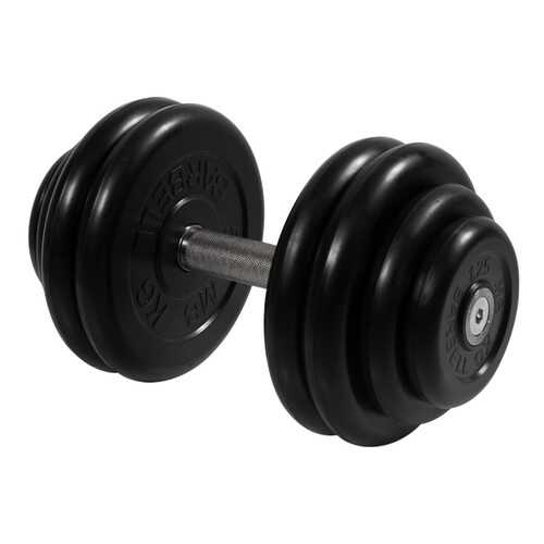 Barbell Профи 28,5 кг в Интерспорт