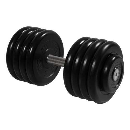 Barbell Профи 43,5 кг в Интерспорт